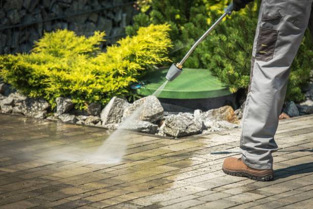 Animal Enclosure Cleaning in Dayton, TN