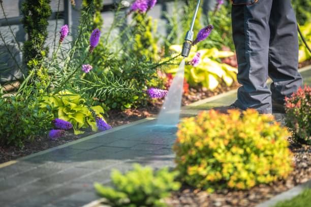 Best Restaurant Pressure Washing  in Dayton, TN